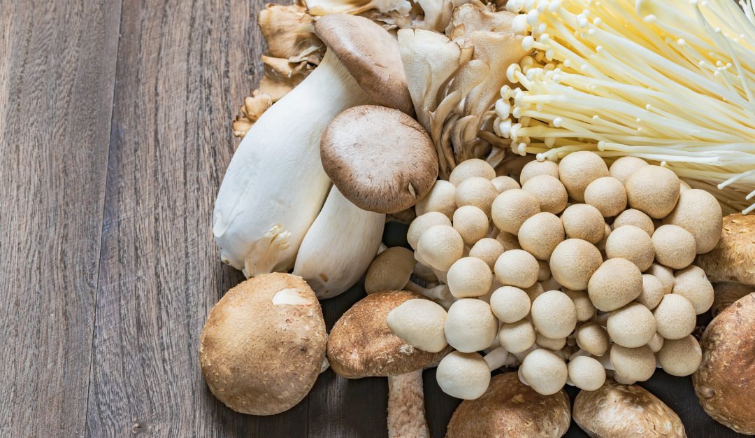 Mushrooms as Medicine